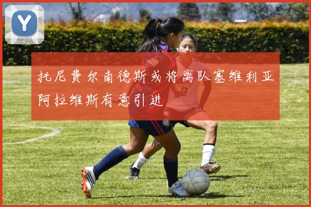 托尼费尔南德斯或将离队塞维利亚阿拉维斯有意引进