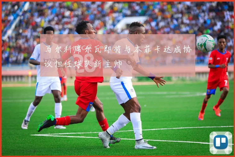 马尔科席尔瓦即将与本菲卡达成协议担任球队新主帅